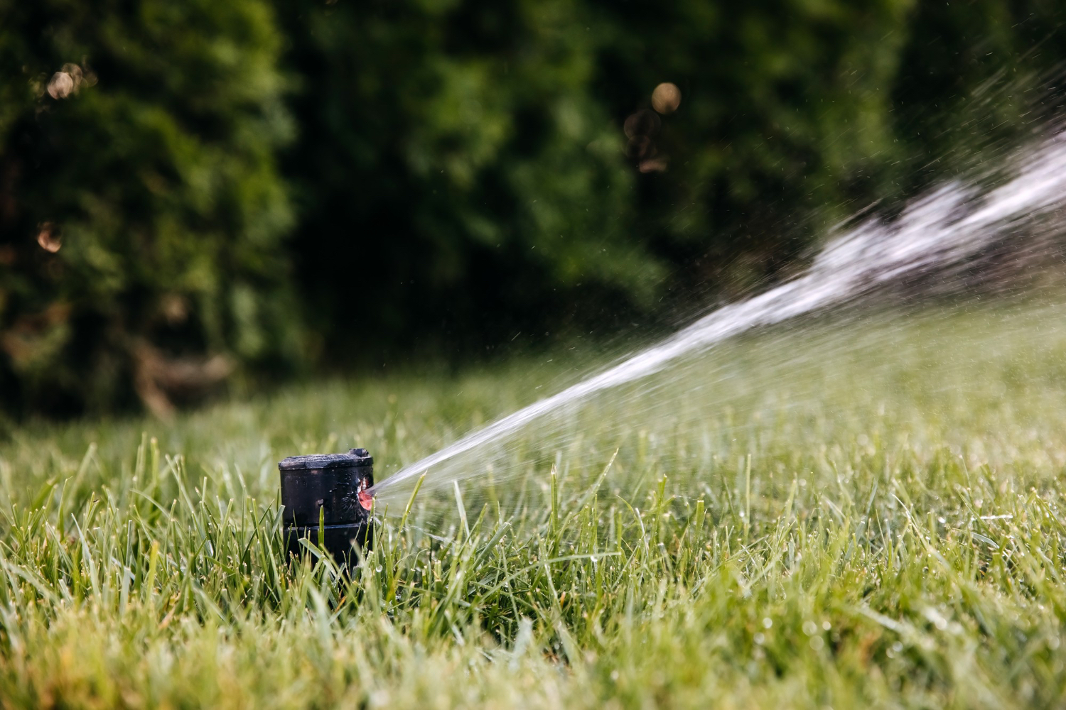 Irrigazione giardino